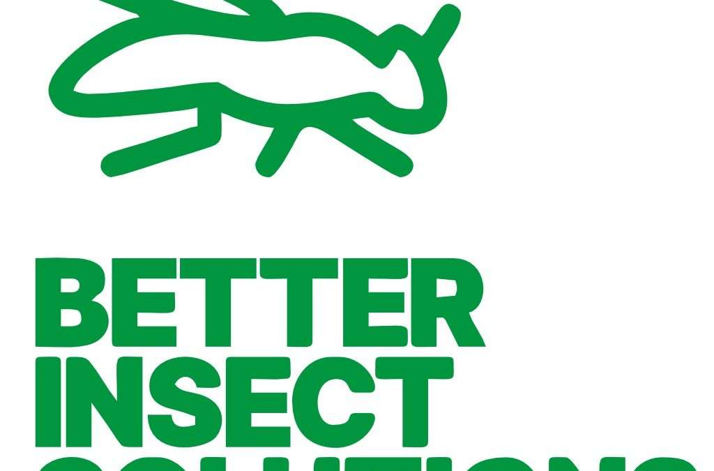 Better Insect Solutions: Pioneiros na revolução da criação de insetos