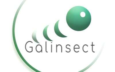 Galinsect: Innovation in insect farming
