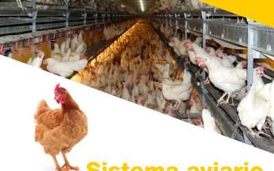 Aviario Combi Barn de Salmet: Flexibilidad y Eficiencia
