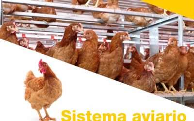 Aviário Space-Z: Produtividade na avicultura