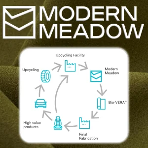 Modern Meadow: sustainable design with cultivated leather