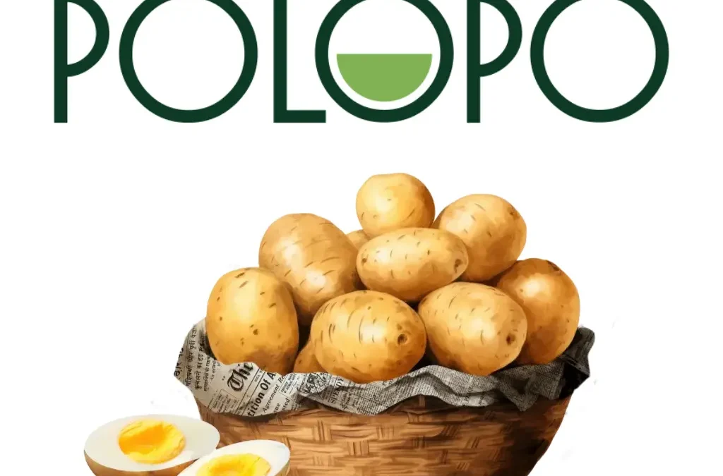 Potatoes that produce egg: PoLoPo’s sustainable bet